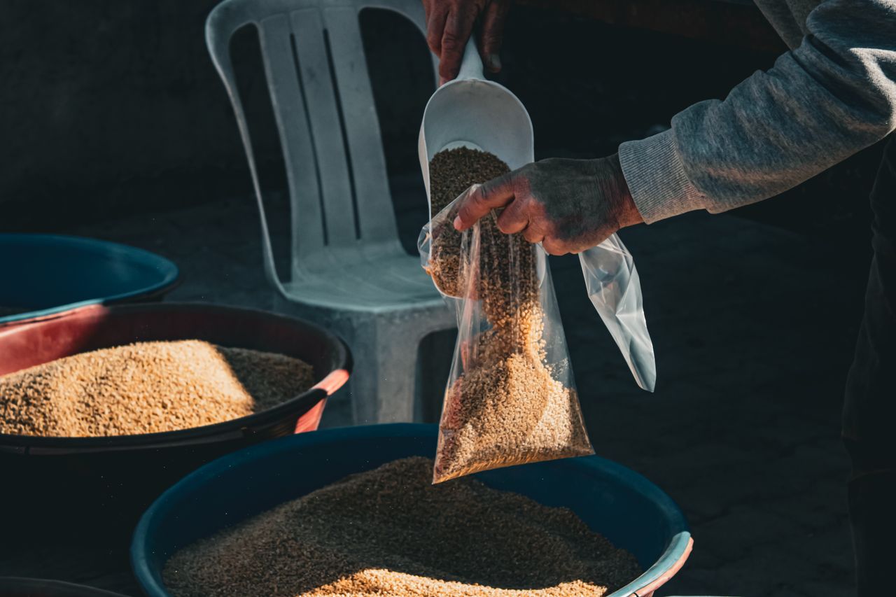 Close-up of a farmer filling a plastic bag with grain. The process takes place outdoors, emphasizing agricultural trade.